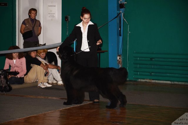 Фотография № 77334