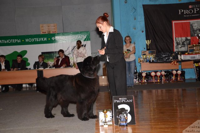 Фотография № 77336