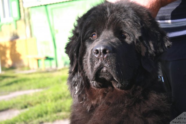 Фотография № 77358