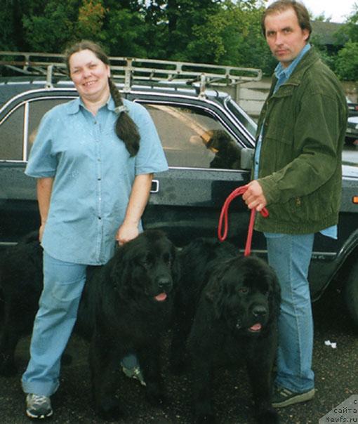 Фото: ньюфаундленд Berta (Берта), ньюфаундленд Bine-Bonita