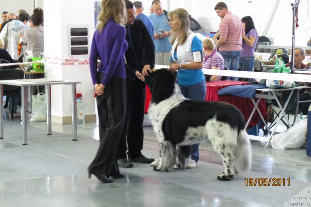 Фотография № 77452