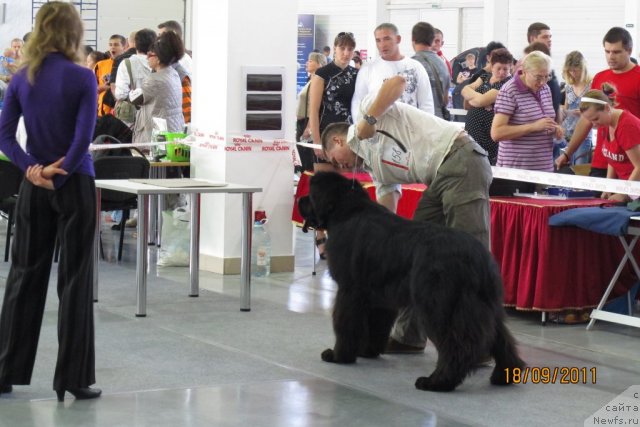 Фотография № 77453