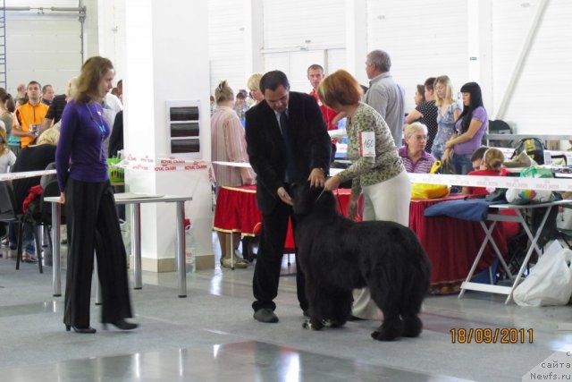 Фотография № 77455