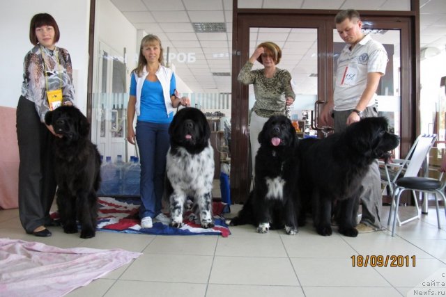 Фотография № 77457