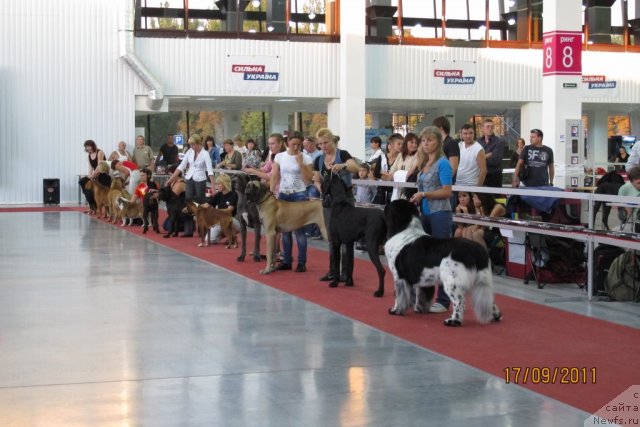 Фотография № 77460