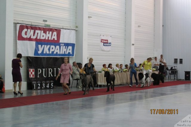 Фотография № 77461