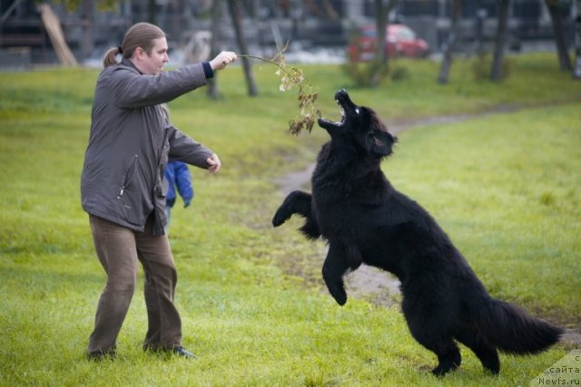 Фотография № 77512