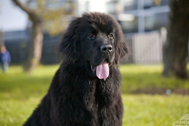 Фотография № 77514