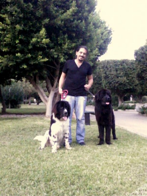 Фотография № 77574