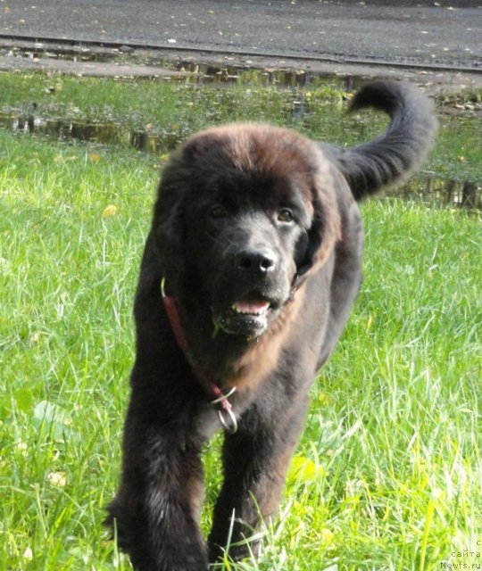 Фото: Бегущая по волнам Дабл Дэар