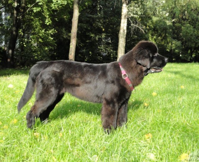 Фото: Бегущая по волнам Дабл Дэар