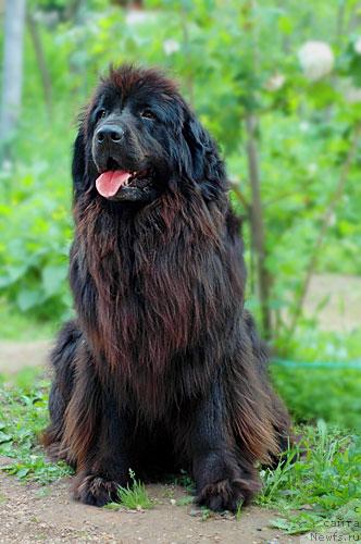 Фотография № 776