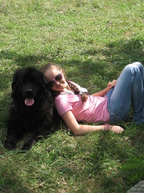 Фото: Dariya SHevchenko (Дария Шевченко), ньюфаундленд Iskryaschayasya Radost' s Berega Dona (Искрящаяся Радость с Берега Дона)