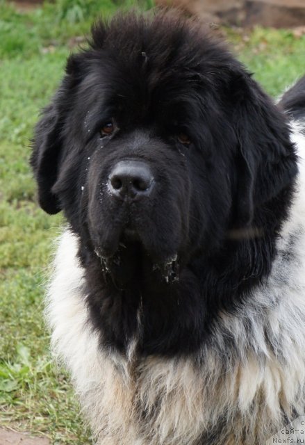 Фотография № 77649