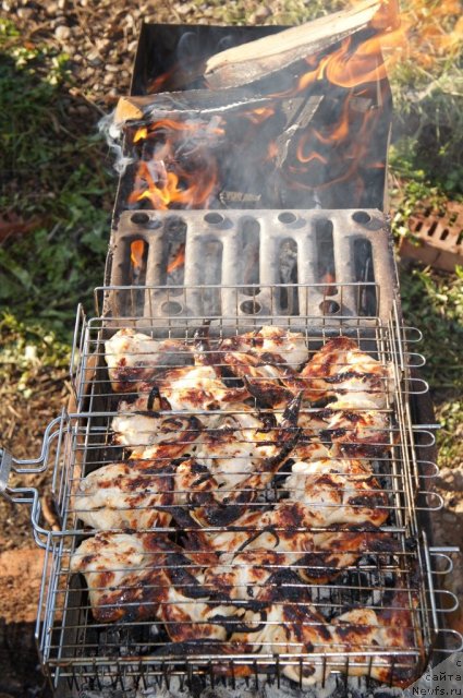 Фотография № 77650