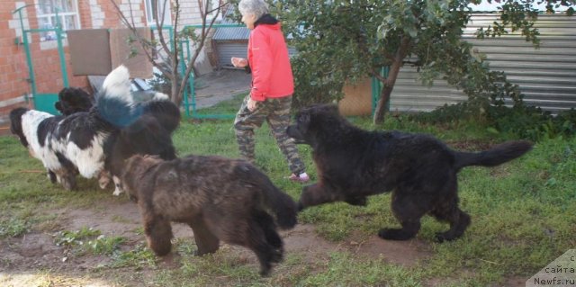 Фотография № 77653