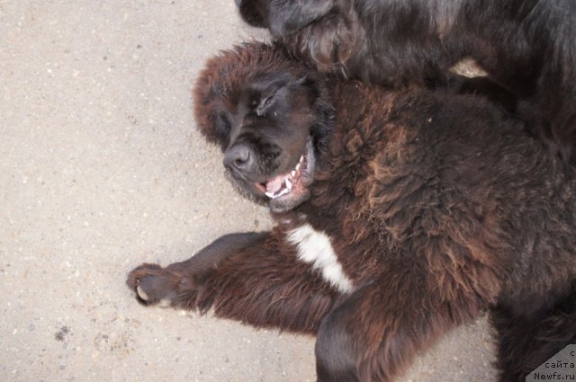 Фотография № 77655