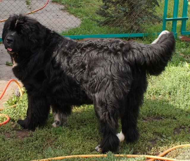 Фотография № 77656