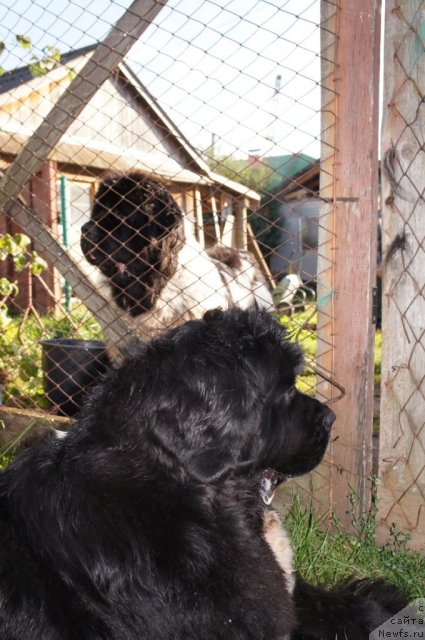 Фотография № 77657