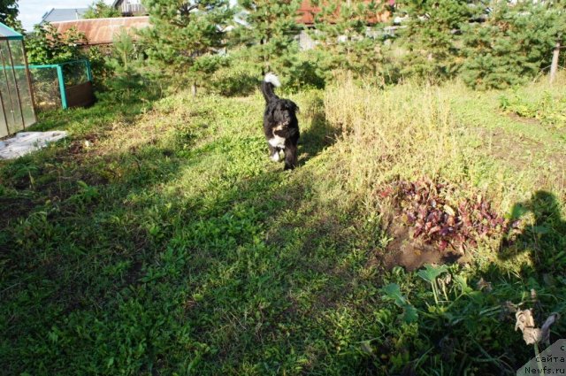 Фотография № 77658