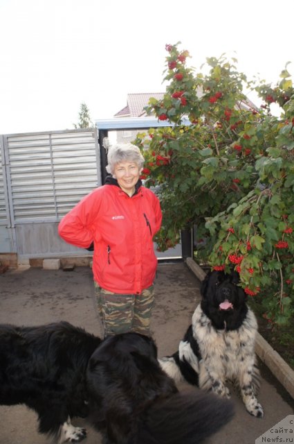 Фото: ньюфаундленд Plyushevaya Panda Oliviya (Плюшевая Панда Оливия), ньюфаундленд Plushevaya Panda Diland (Плюшевая Панда Диланд), Irina Vasil'eva (Ирина Васильева)