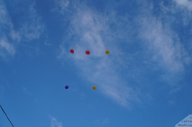 Фотография № 77661