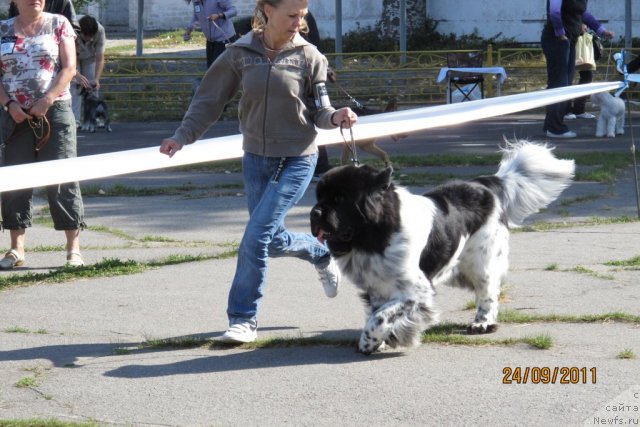 Фотография № 77814