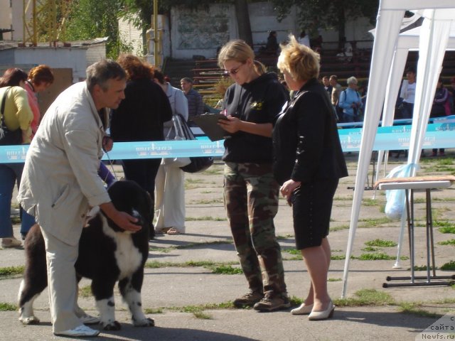 Фотография № 77843