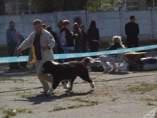 Фотография № 77844