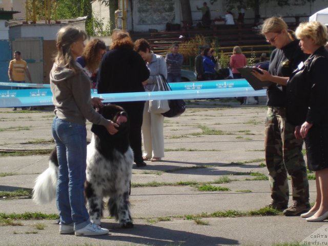 Фотография № 77845