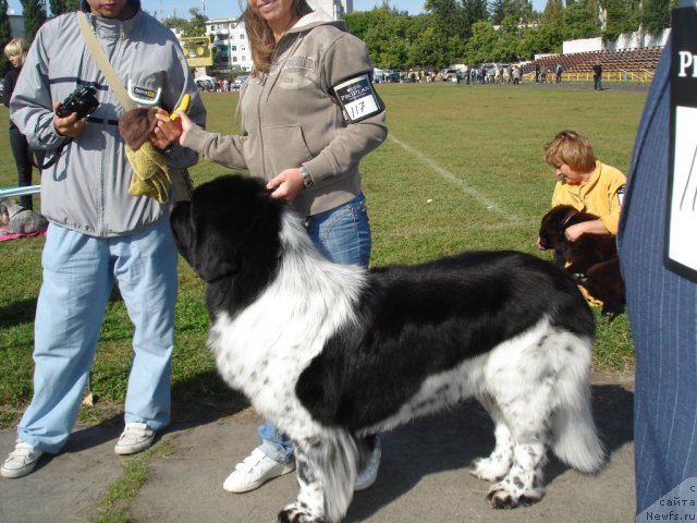 Фотография № 77846