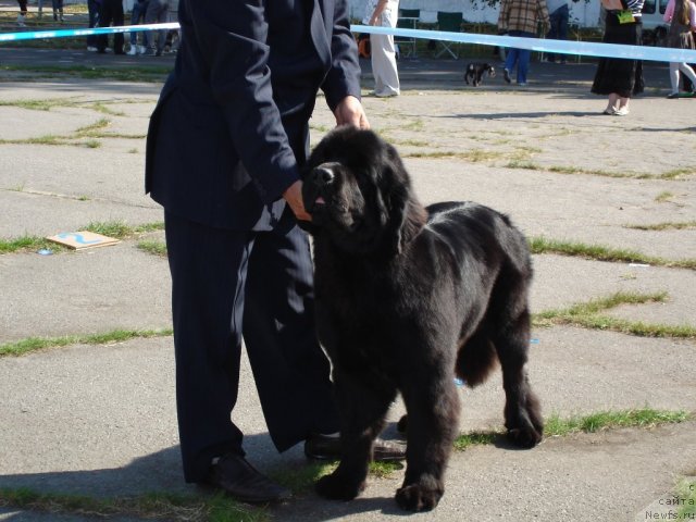 Фотография № 77848