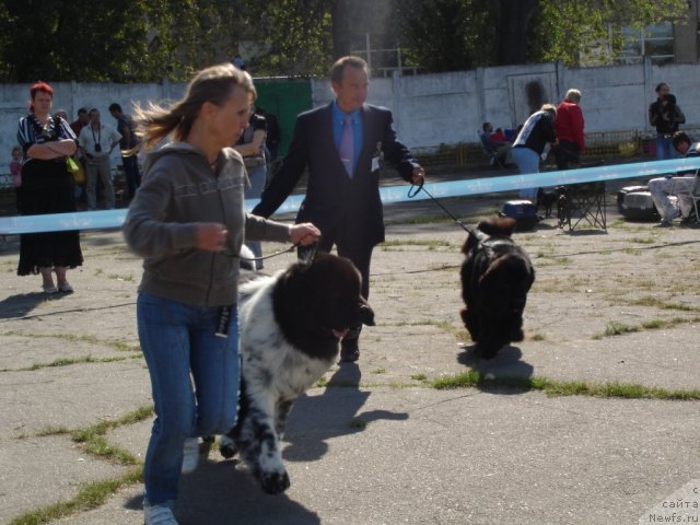 Фотография № 77850