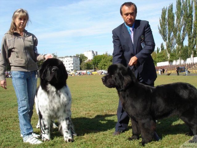 Фотография № 77851