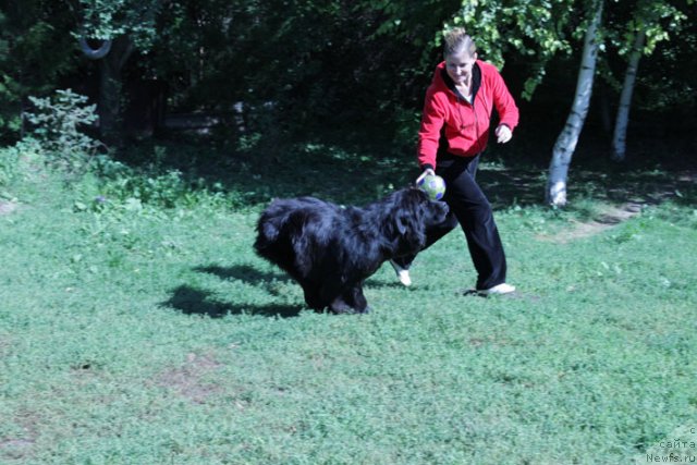 Фотография № 77854