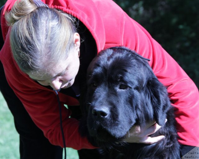 Фотография № 77857