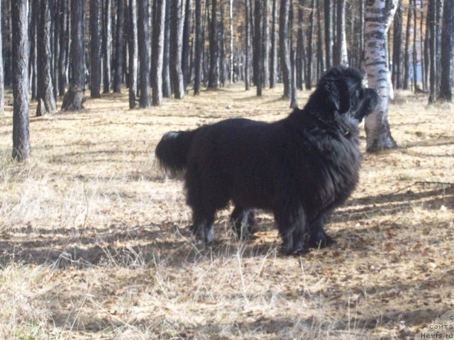 Фотография № 77936