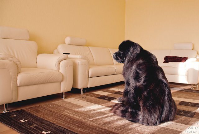 Фотография № 77943