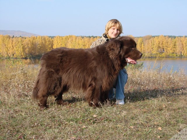 Фото: Ченс и я, Svetlana Panchenko (Светлана Панченко)