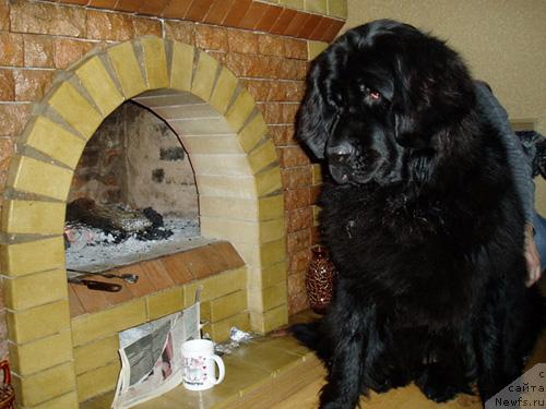 Фотография № 7799