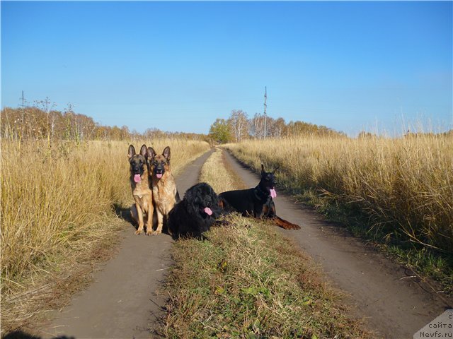 Фотография № 78034