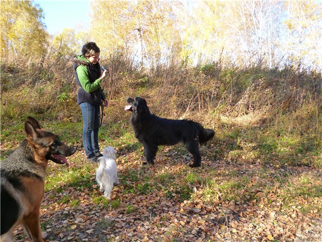 Фотография № 78039