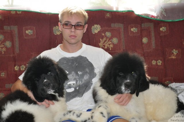 Фотография № 78102