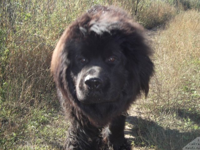 Фото: Lyubov' Gubenko (Любовь Губенко)