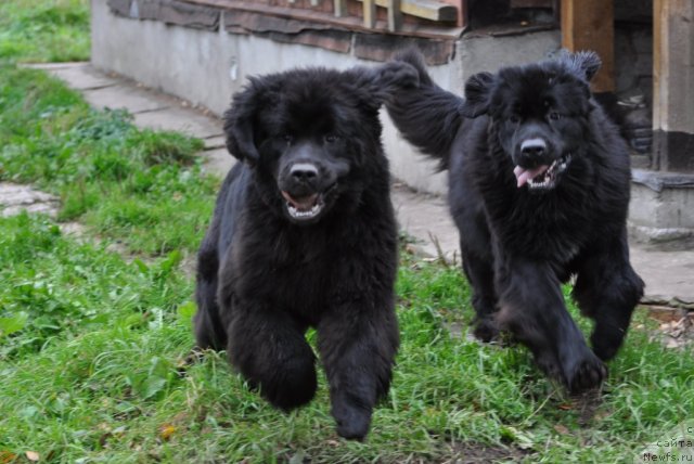 Фотография № 78172