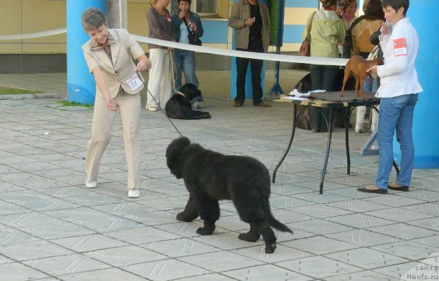 Фотография № 78185