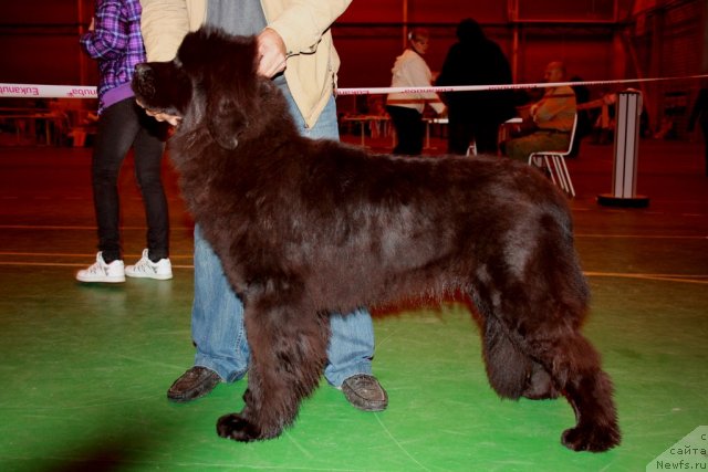 Фотография № 78187