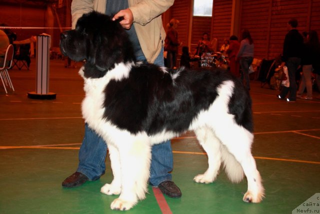 Фотография № 78188