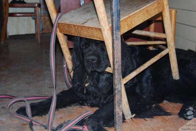 Фотография № 78224