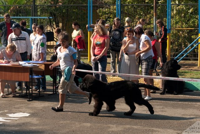 Фотография № 78231